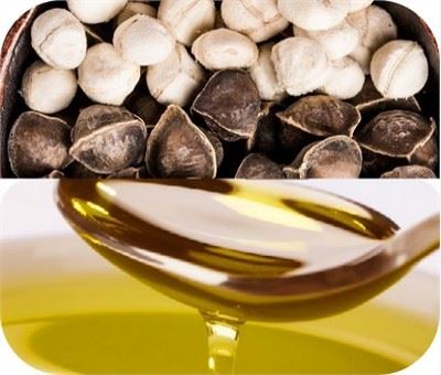 Moringa seemneõli tootmisliin